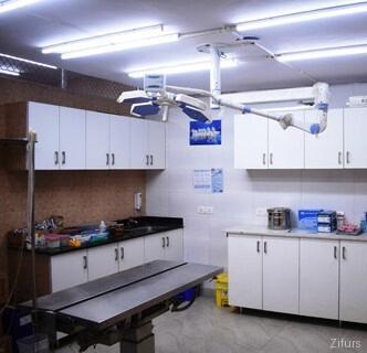 Gallery image 2