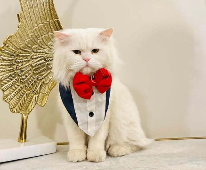 Persian