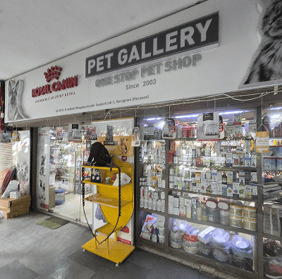 Pet Gallery Sushant Lok - photo 1