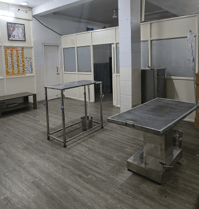 Healing touch pet hospital - photo 2