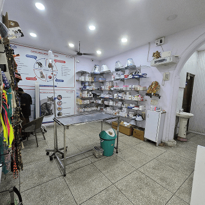 Noble Care Pet Clinic - photo 2