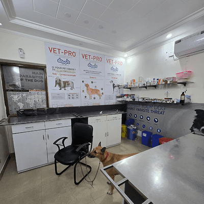24×7 Ayu Pet Clinic - photo 2