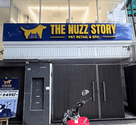  The Nuzz Story - photo 1