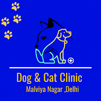 Dog and Cat Clinic