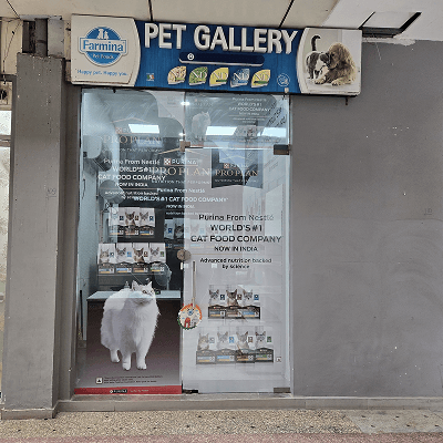 Pet Gallery Sector 86 - photo 1