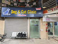 Dog and Cat Clinic