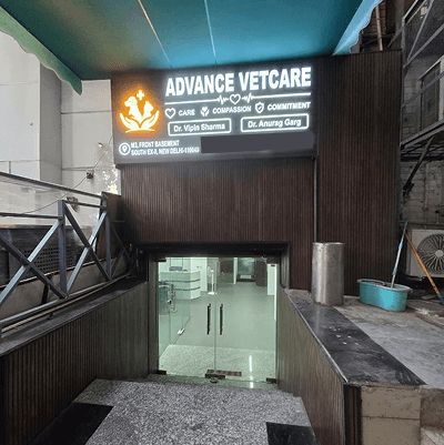 ADVANCE VET CARE - photo 1