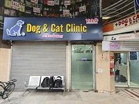 Dog and Cat Clinic