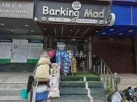 Barking Mad Grooming Salon