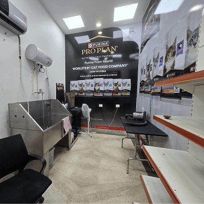 Pet Gallery Sector 86 - photo 2