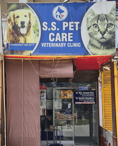 Gallery image 1