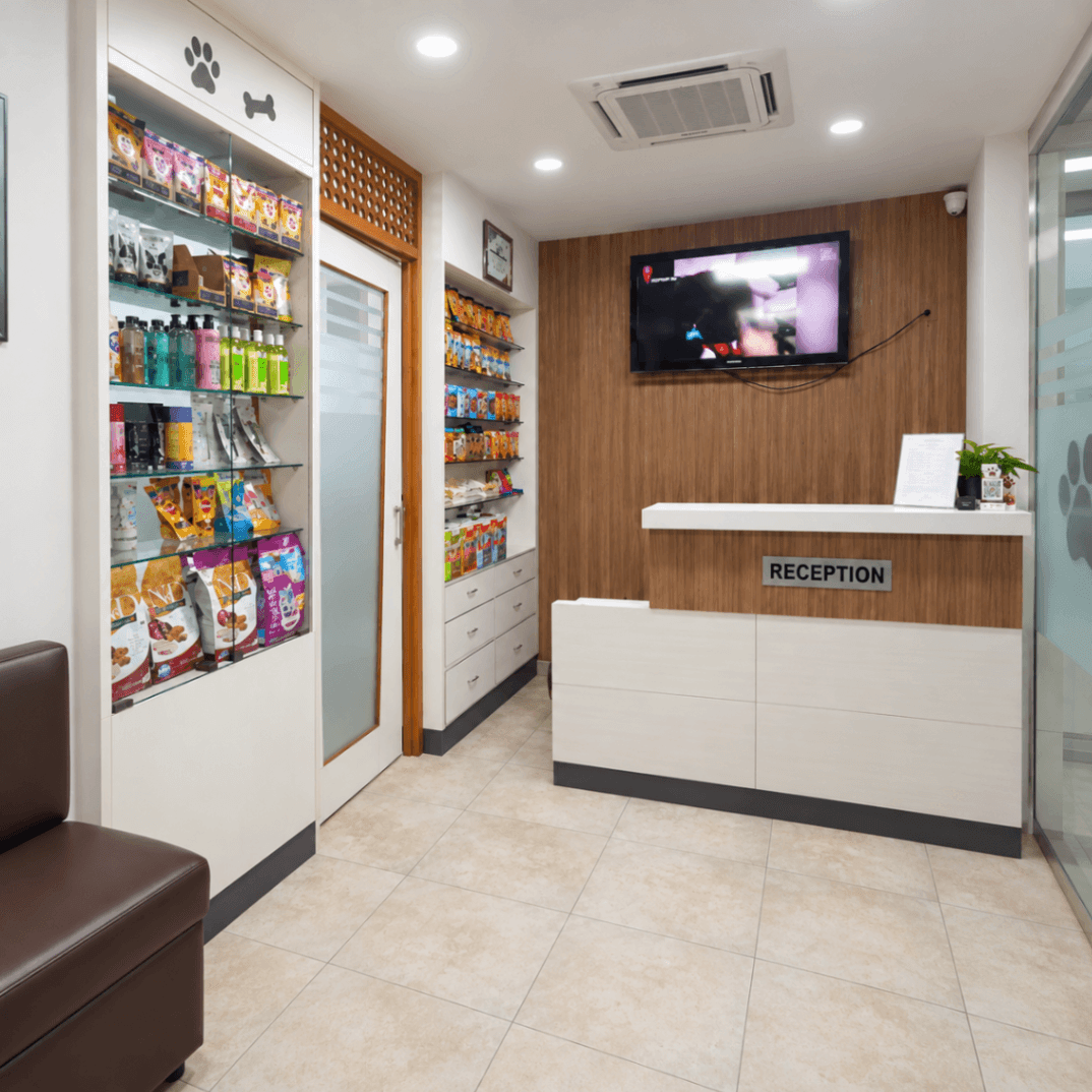 Alaknanda Pet Clinic - photo 1