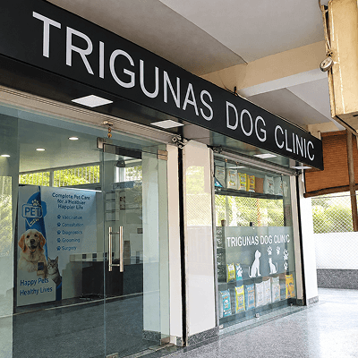 Triguna’s Dog Clinic Sarita Vihar - photo 1