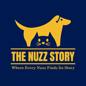  The Nuzz Story