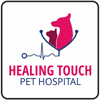 Healing touch pet hospital