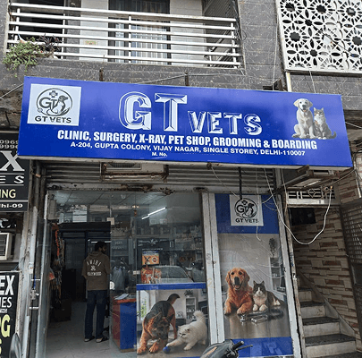 GT VETS - photo 1
