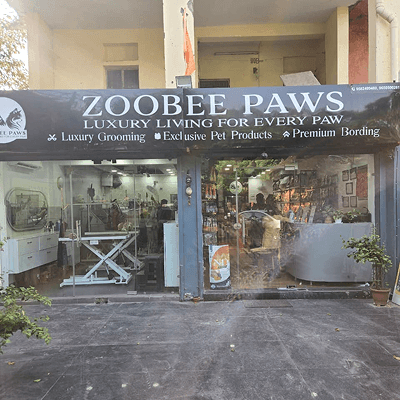 Zoobee paws - photo 1