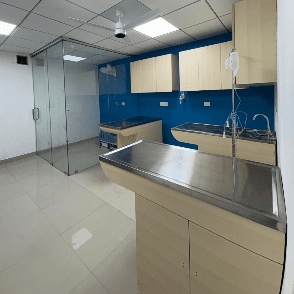 Gallery image 2