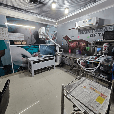 24×7 Ayu Pet Clinic - photo 4