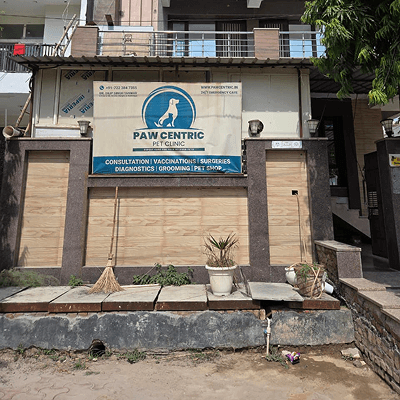 Paw Centric Pet Clinic - photo 1