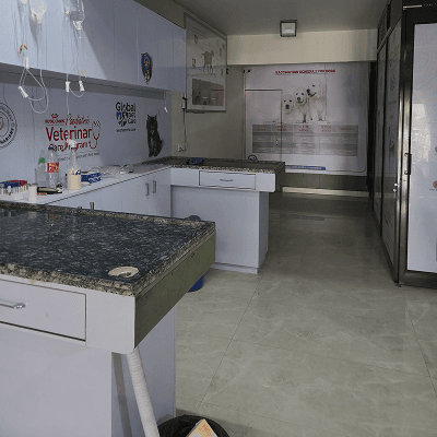 Gallery image 3