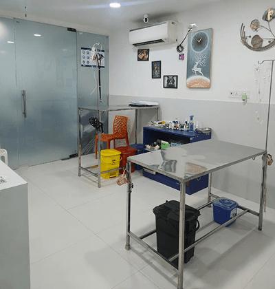 Asteria Veterinary Center - photo 2