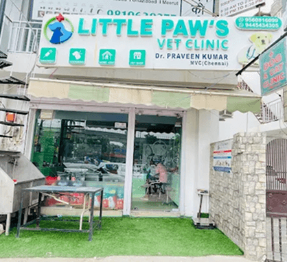  Little Paw's Vet Clinic - photo 1