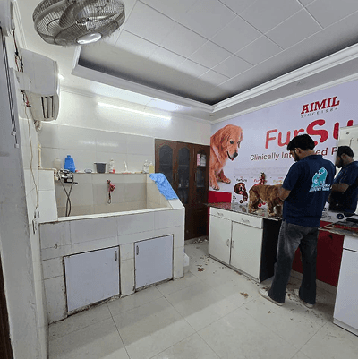 24×7 Ayu Pet Clinic - photo 3