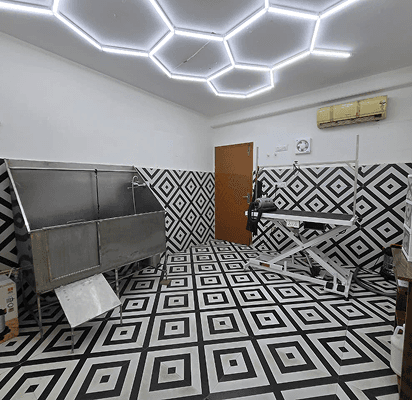 Dollar & Duke Pet store and Spa - photo 3