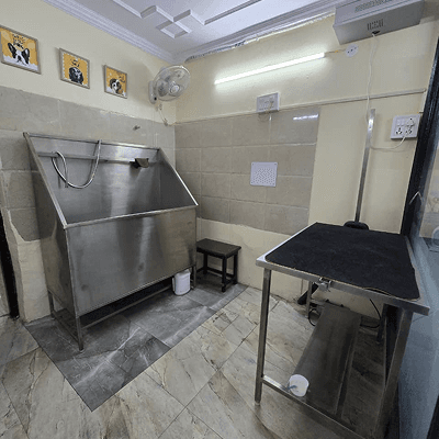 House of Pets Clinic & Surgery Centre - photo 4