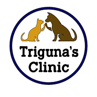 Triguna’s Dog Clinic – Sarita Vihar