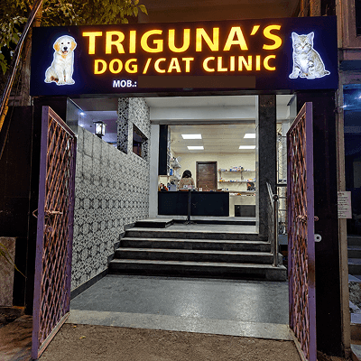 Triguna’s Dog Clinic Faridabad - photo 1