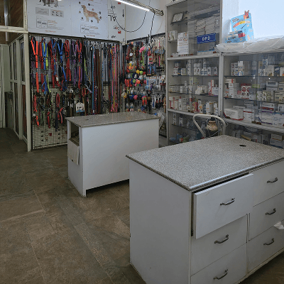 Gallery image 2