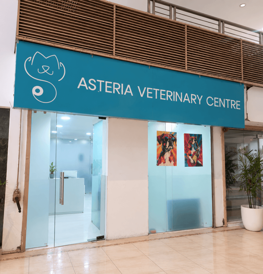 Asteria Veterinary Center - photo 1