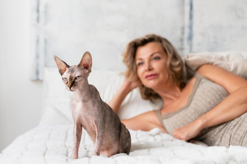 Sphynx