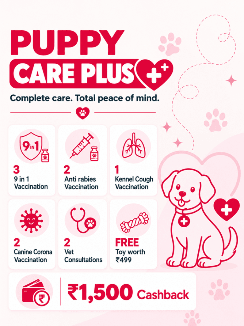 Puppy Care Plus