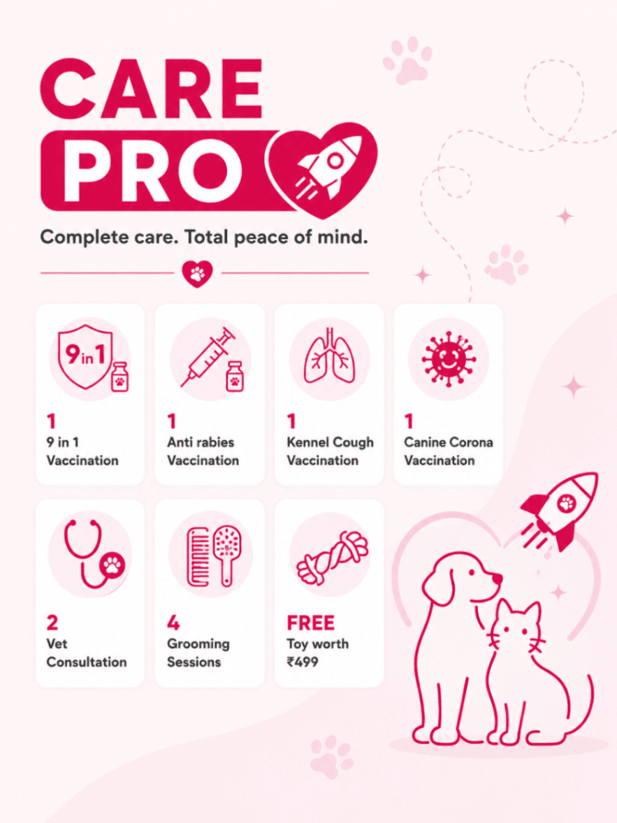 CARE PRO