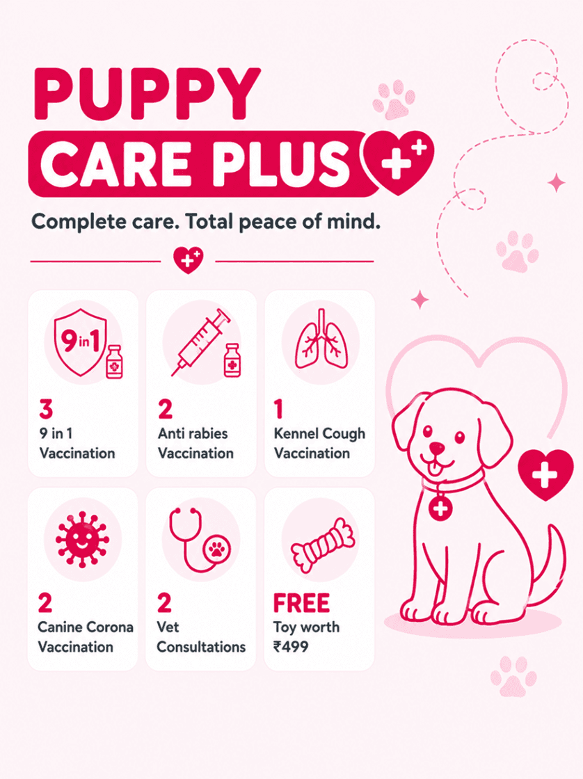 Puppy Care Plus