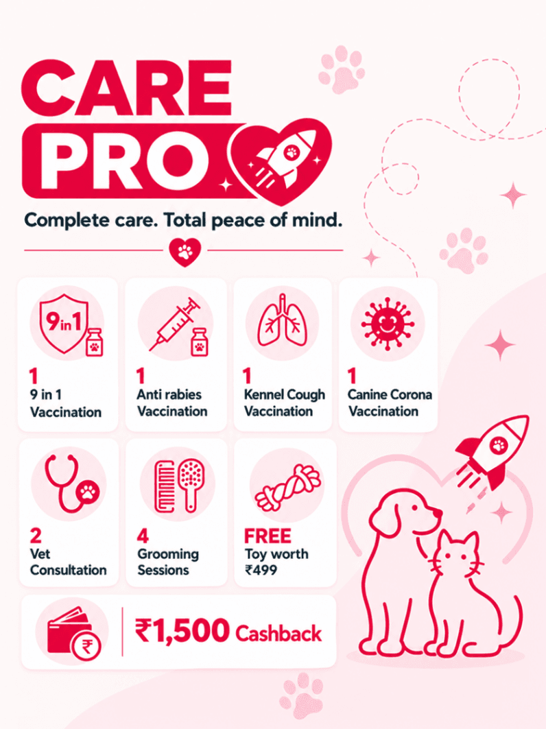 CARE PRO