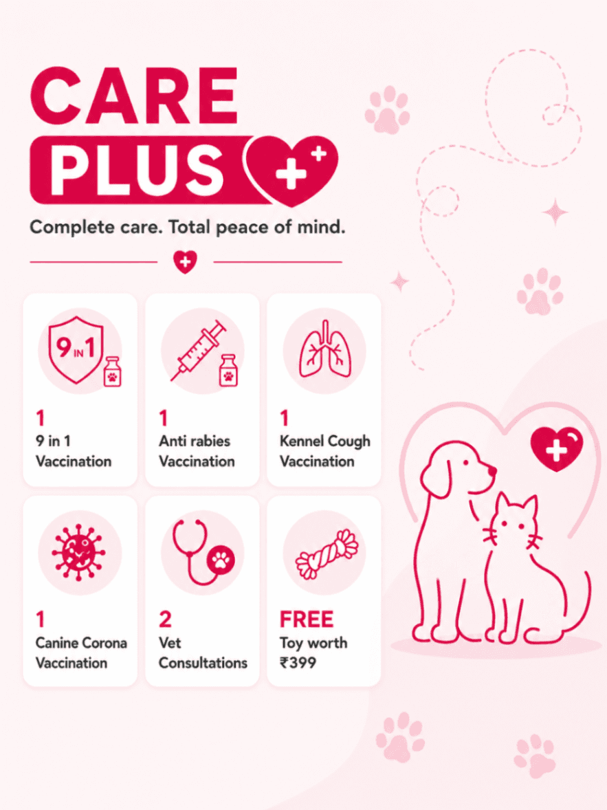 Care Plus
