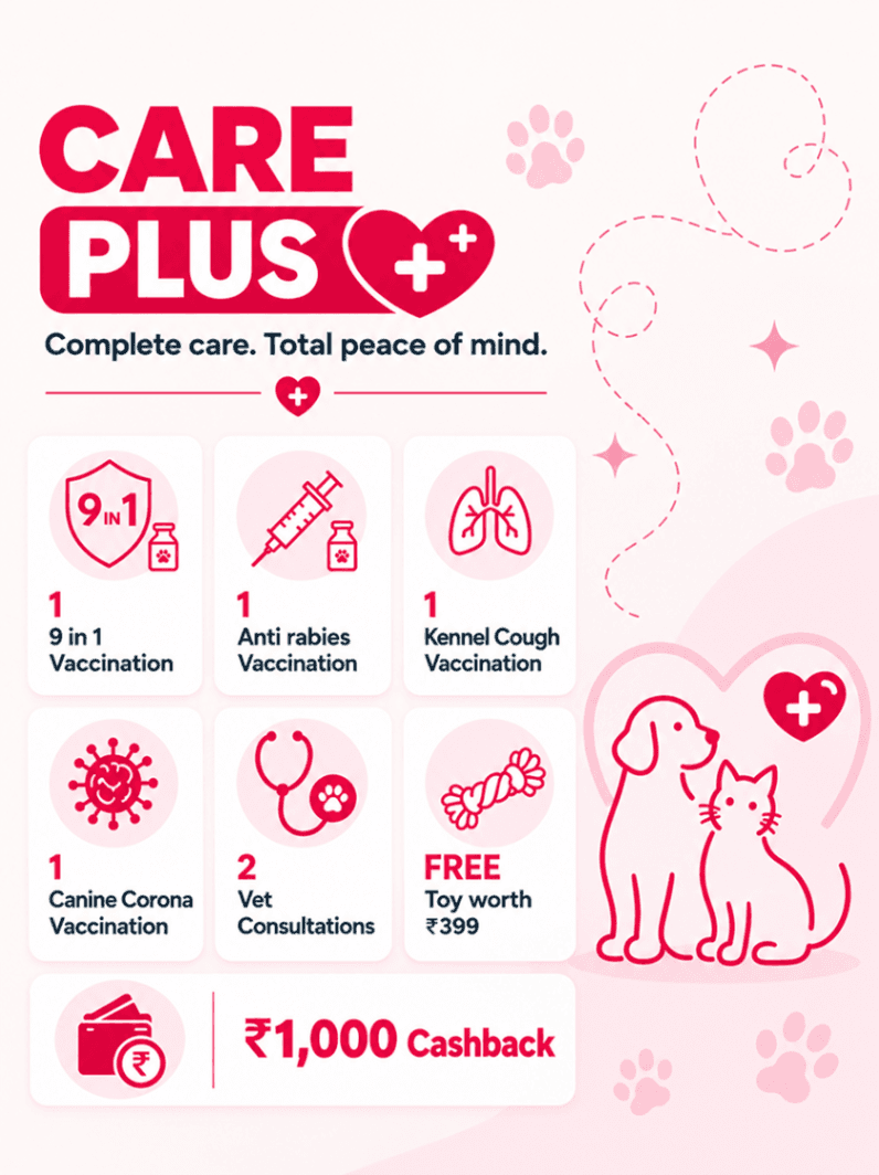 Care Plus