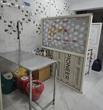 The Well Pet Clinic