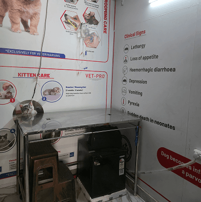 Pet healthcare & grooming center