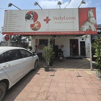 Vetlyf Pet Clinic & Healthcare