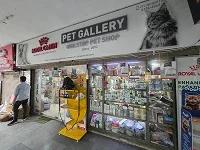 Pet Gallery Sushant Lok