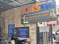 KMS Vets