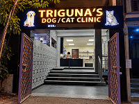 Triguna’s Dog Clinic Faridabad