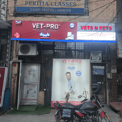 Vets N Pets