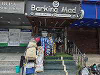 Barking Mad Grooming Salon