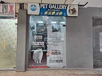Pet Gallery Sector 86